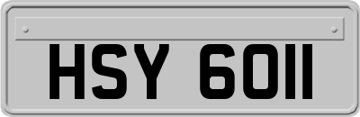 HSY6011