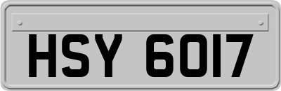 HSY6017