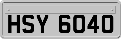 HSY6040