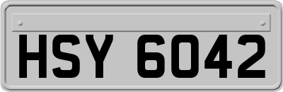 HSY6042