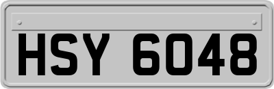 HSY6048