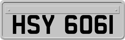 HSY6061
