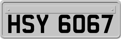 HSY6067