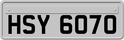 HSY6070