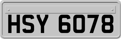HSY6078