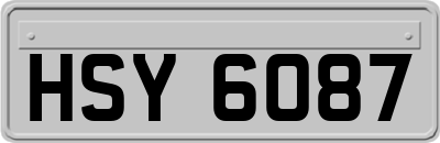HSY6087