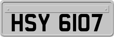 HSY6107
