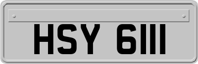 HSY6111