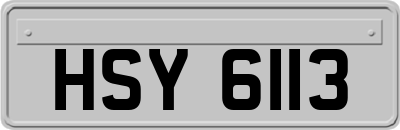 HSY6113