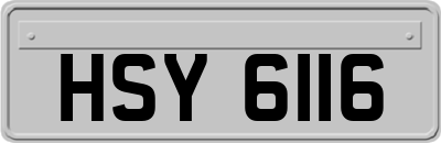 HSY6116