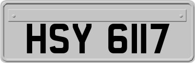 HSY6117