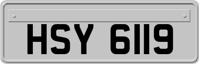 HSY6119