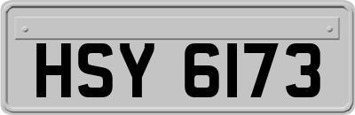 HSY6173