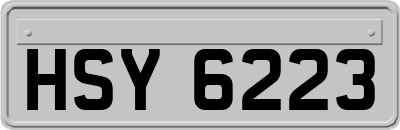 HSY6223