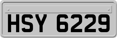 HSY6229