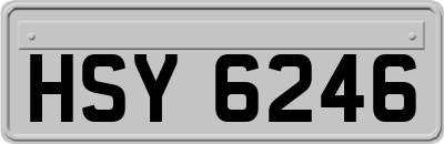 HSY6246