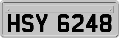 HSY6248