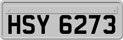 HSY6273