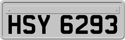 HSY6293