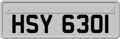 HSY6301