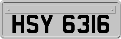 HSY6316