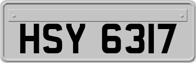 HSY6317
