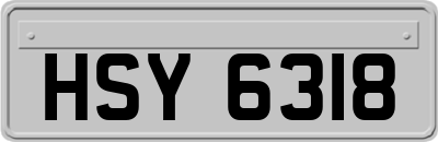 HSY6318