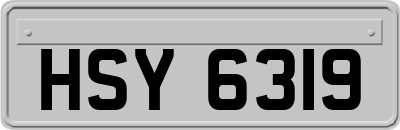 HSY6319