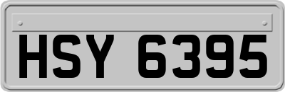 HSY6395