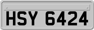 HSY6424