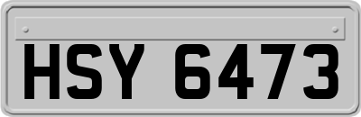 HSY6473