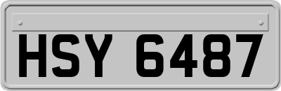HSY6487