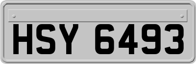 HSY6493