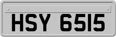 HSY6515