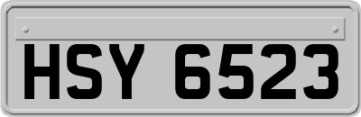 HSY6523