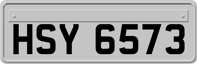 HSY6573