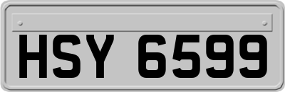 HSY6599