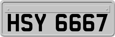 HSY6667