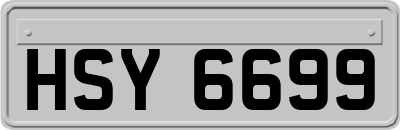 HSY6699