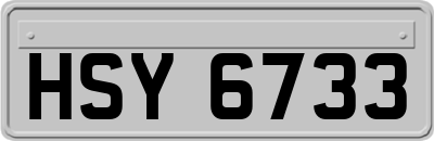 HSY6733