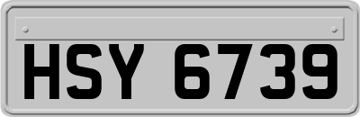 HSY6739