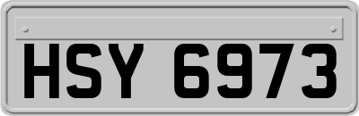 HSY6973