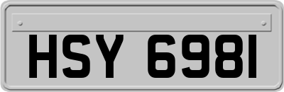 HSY6981