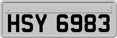 HSY6983