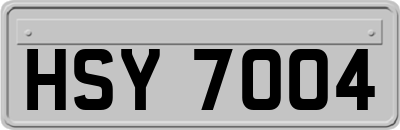 HSY7004