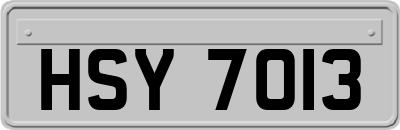 HSY7013