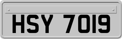 HSY7019