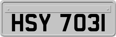 HSY7031