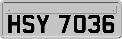 HSY7036