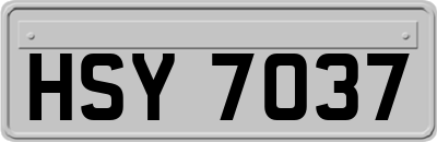 HSY7037